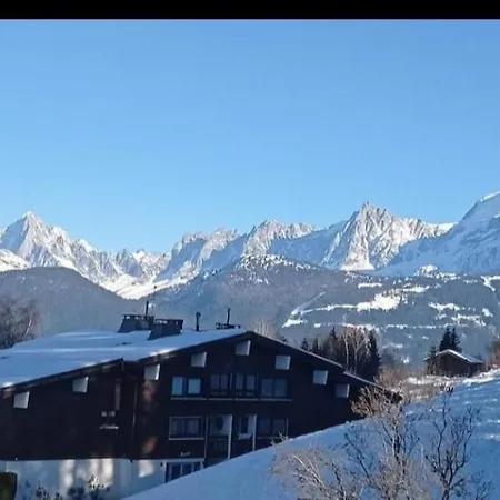 Porte Du Mont Blanc Aux Pieds Des Pistes דירה *
