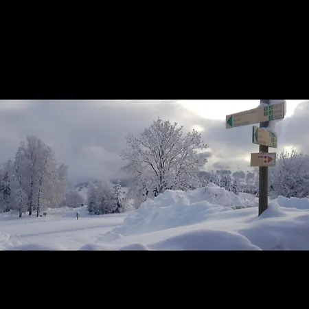 Porte Du Mont Blanc Aux Pieds Des Pistes דירה *
