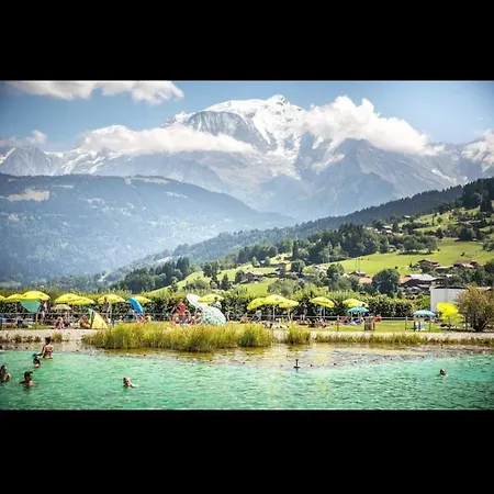 Porte Du Mont Blanc Aux Pieds Des Pistes דירה קומבלו